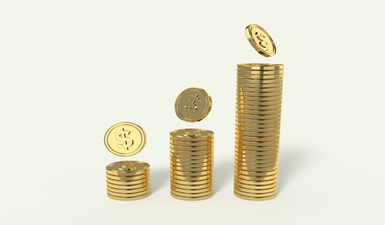 INCOME INSURANCE
